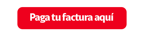 Pagar factura